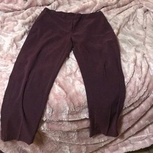 Loft maroon pants
